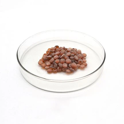 I-Rubber antioxidant TDQ